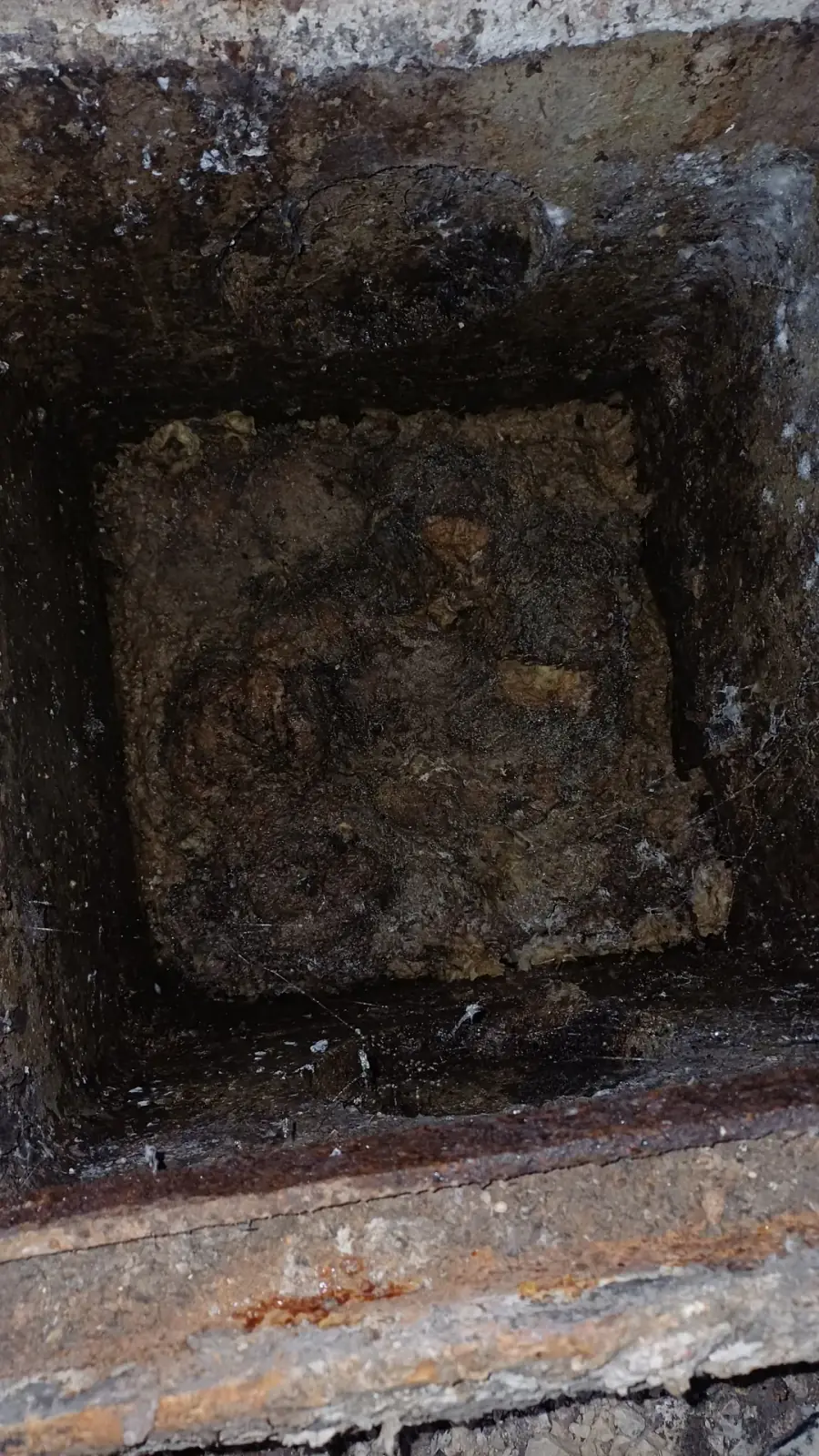 Pompage de fosses septiques